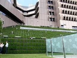 Elmich Greenwall Modules And Adjustable Pedestals Bring Greenery And Tranquillity To Brisbane Hospital Architecture Green Roof Hospital