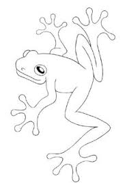 Es handelt sich um eine digitale vorlage und nicht. 28 Frosch Zeichnung Ideen Frosch Zeichnung Frosch Zeichnung