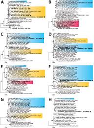 Zoonotic transmission of avian iavs of the h5n1 and h7n9 subtypes has. Figure 1 Sub Saharan Africa And Eurasia Ancestry Of Reassortant Highly Pathogenic Avian Influenza A H5n8 Virus Europe December 2019 Volume 26 Number 7 July 2020 Emerging Infectious Diseases Journal Cdc