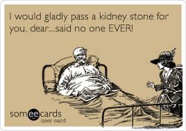 A kidney stone stent is inserted between the kidneys and the bladder to help a person pass a kidney stone. 23 Kidney Stone Banter Ideas Bones Funny Kidney Humor