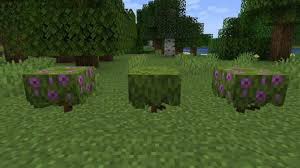 We did not find results for: Minecraft Azalea Trees Locations Uses And More Firstsportz