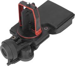 Image result for Disa robusta