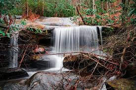 Jones gap state park is a south carolina state park in northern greenville county, near marietta. Jones Gap State Park Sc Picture Project