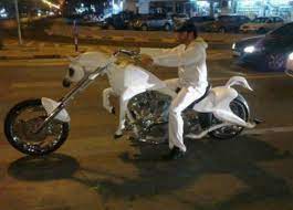 A Horse Bike Cool Bikes White Horse Horses