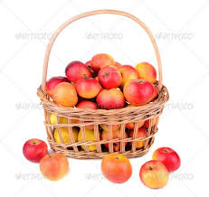 Average stop and shop supermarket hourly pay ranges from approximately $9.39 per hour for store clerk to $60.38 per hour for pharmacist. Apples In Basket Decorative Ceramic Tile Red Apple Basket