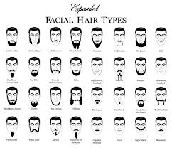 Expanded Facial Hair Types Chart Types Of Facial Hair Mens Facial Hair Styles Beard Illustration