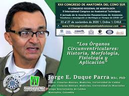 Anatomy & Morphology