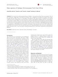 Image result for Xylopia lukei