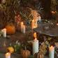 Community Class: Harvest Arrangement — Wild Gorse event image