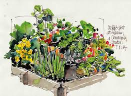 Community Garden Sketch Community Gardening Garden Drawing Flower Painting