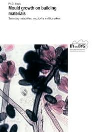 Now, to make you more excited to color these flower coloring sheets for adults, i'd like to mention some interesting facts about flowers that i'm sure you haven't heard of. Mould Growth On Building Materials Statens Byggeforskningsinstitut