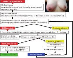 Despite this, pancreatic cancer is among the deadliest types of cancer, which is why it's extremely important to know and recogni. Workup For Inflammatory Breast Cancer Download Scientific Diagram