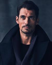 Honest Abe by Diane Portman-Ray