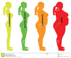 With a bmi of 19, you weight is healthy, congratulations. Kategorien Des Frauen Body Mass Indexes Bmi Vektor Abbildung Illustration Von Eignung Index 38040274