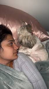 ADOPT ME! I'm a sweet Rat Terrier/Chihuahua mix, weighing 15 lbs, and I'm  looking for my forever home. I was found wandering the streets of North  Miami, and despite efforts to find