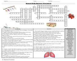 Human Body Systems Crossword Puzzle Body Systems Human Body Systems Human Body