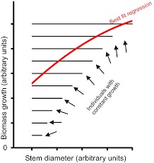 does biomass growth increase in the largest trees flaws