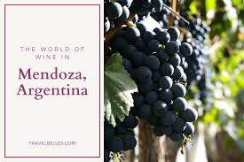 The three major wine regions of mendoza are home to. The World Of Wine In Mendoza Argentina
