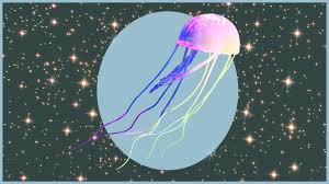 Aquarius zodiac sign is ruled by uranus, the great awakener and the enigmatic saturn being associated with uniqueness, eccentric and in this article, we will explore the main aquarius traits. Aquarius Horoscope September 2020 Love And Career Predictions Allure