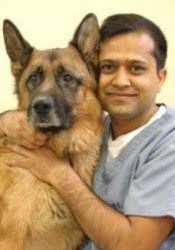 We take great pride in providing the highest standard of. Shikher Singla Urban Pet Hospital San Francisco Ca