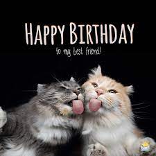 Best wishes on your special day. Happy Birthday Best Friend 80 Friends For Life Wishes