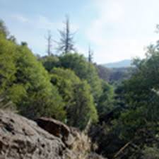 Cabins can be easily rented on the william heise website and cost about $60/nite. William Heise County Park Naturefind