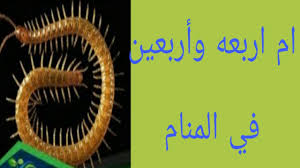 ام اربعه وأربعين للعزباء وللمرأه المتزوجه والحامل والمطلقه والرجل Youtube