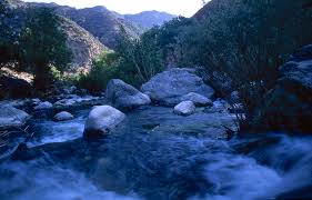 Amazon.Com: Lake Piru Fishing Map: 0071365501396: Sports & Outdoors