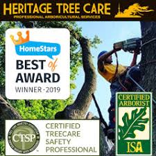 Check spelling or type a new query. Ontario Certified Arborist