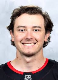 Player photos for the 2018-19 Chicago Wolves at hockeydb.com