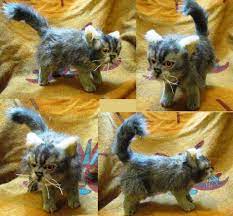 Persian Kitten Realistic Plush Toy Persian Kittens Kittens Cutest Kitten