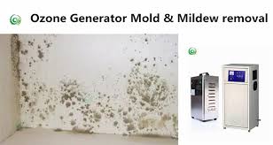 من نحن Guangzhou Wilson Machinery Equipment Co Ltd