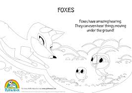 Silky the seal, otto the owl, may the rabbit and mossy the shrew, help them together with various questions. Puffin Rock On Twitter Feeling Foxy Check Out Our Fox Facts Colouring Pages