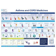 Image result for Medications in COPD Management