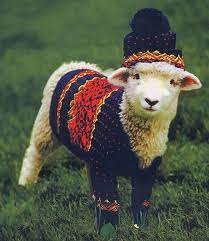 35 Cute Pictures Of Pets Wearing Clothes Cute Sheep Baby Animals Cute Animals