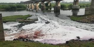 Dying Sabarmati: Polluting units to be named, shamed and prosecuted, says  Gujarat HC