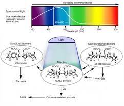 Phototherapy For Jaundice Background Indications Contraindications