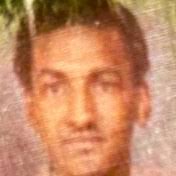 Walston Family Obituaries