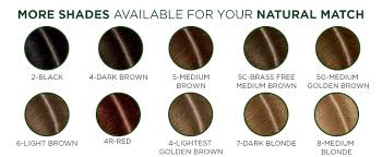 Amazon.Com: Clairol Root Touch-Up By Natural Instincts Permanent Hair Dye,  5G Golden Brown Hair Color, Pack Of 1 : Beauty & Personal Care