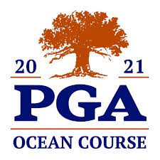 Esports_premier_league_2021_icon.png ‎(100 × 100 pixels, file size: 2021 Golf Major Championships Pga Championship