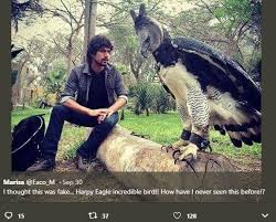 Check spelling or type a new query. Sering Dianggap Manusia Berkostum Elang Terbesar Ini Benar Benar Ada Hitekno Com