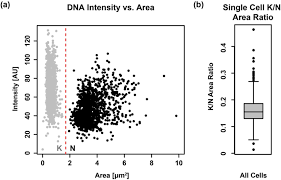 Download the hack and a dll injector (mine can be found here: Mitochondrial Growth During The Cell Cycle Of Trypanosoma Brucei Bloodstream Forms Scientific Reports
