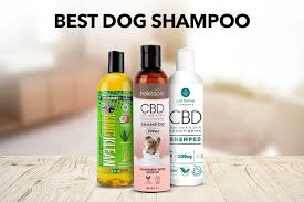 Fish oil is one of the best supplements to add to your dog's diet. Best Dog Shampoo Top Brands Reviewed Discover Magazine