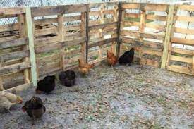 the 11 best diy chicken coop ideas the eleven best chicken coop pallets chicken diy chicken fence