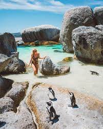 Penguin Beach Boulders Beach Cape Town South Africa South Africa Travel Africa Travel Boulder Beach