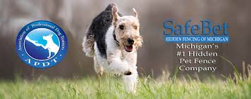 Are invisible fences safe for dogs? Invisible Fence Quote Too Expensive Hire Safebet Hidden Fence Save