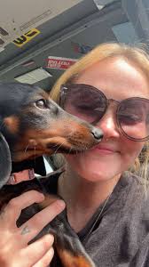 Lost dog in Brevard County, Florida?