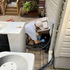 Pest control service for all bugs, spiders, ants, bees, wasps, bedbugs, rodents, boxelder bugs, asain beetles, bats, wildlife etc. Affordable Pest Solutions Llc Morris County Nj