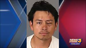 Man who killed older brother during brawl sentenced