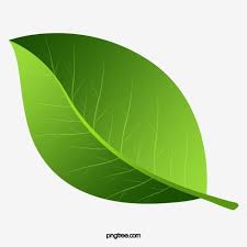 Green Leaf Texture Painted Leaf Clipart Hand Painted Leaves Green Leaves Png Transparent Clipart Image And Psd File For Free Download Leaf Texture Painted Leaves Leaf Clipart